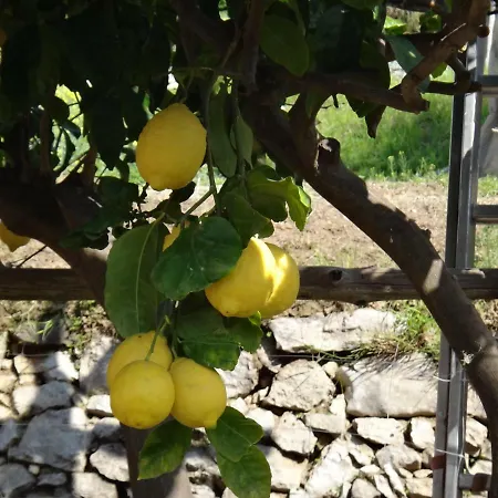 Holiday home A Casarella Vico Equense